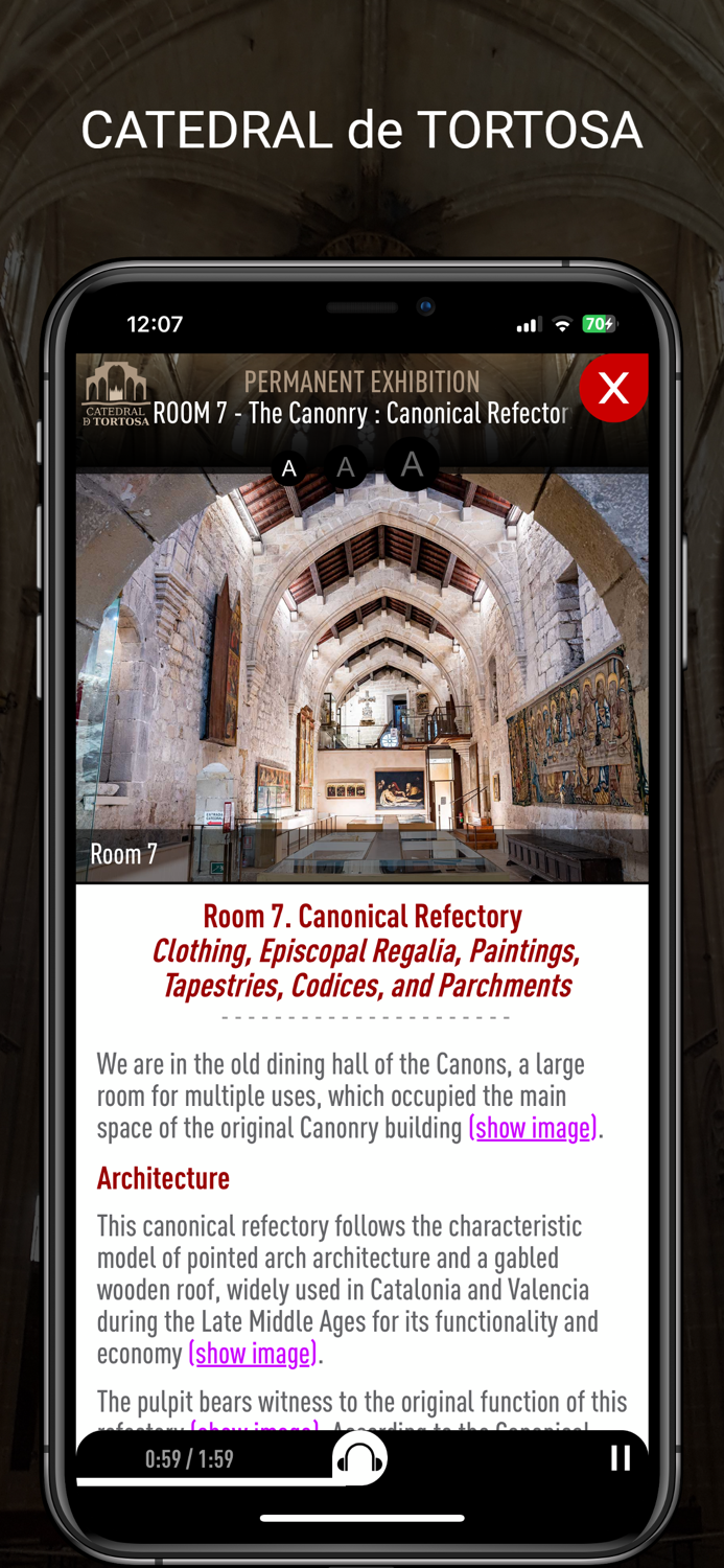 Visita CATEDRAL de TORTOSA
