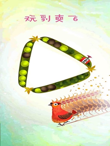 爽飞的鸽子