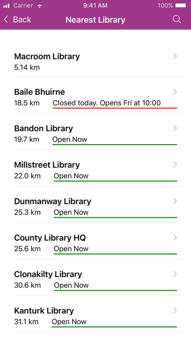 Cork County Council Library Screenshot