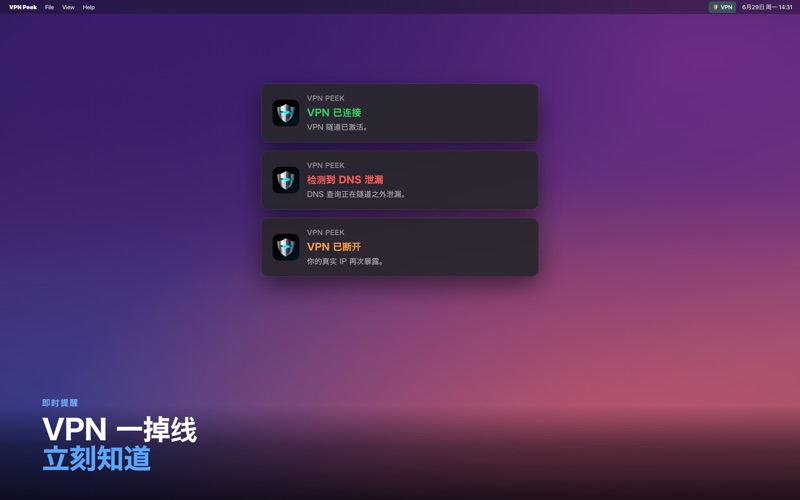 VPN Peek: DNS泄漏检测 screenshot