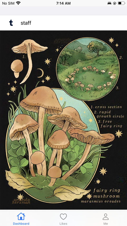 #1. Downpour - Tumble Dumble (iOS) 由: Yao Fan