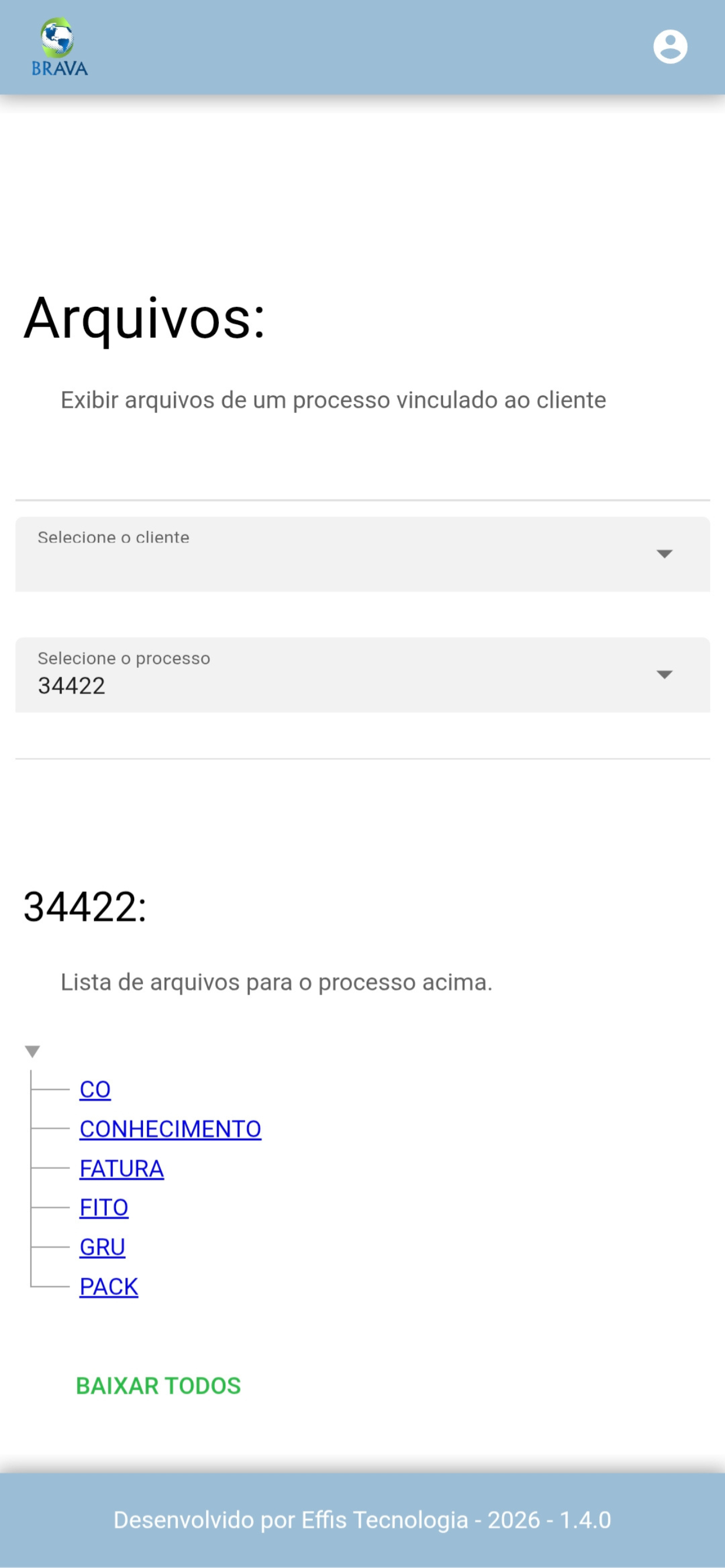 Brava Logística screenshot 3
