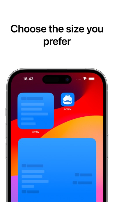 Amity: School Widget Screenshot