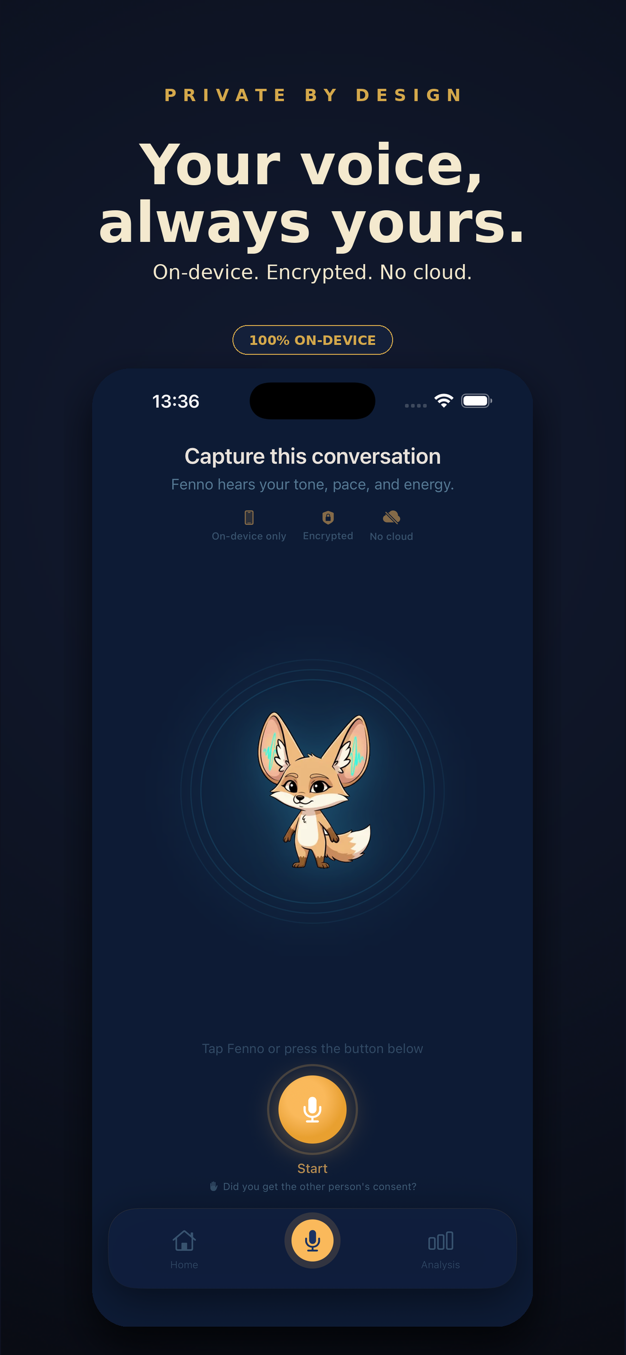 Fenno — Private Voice Mirror screenshot 2