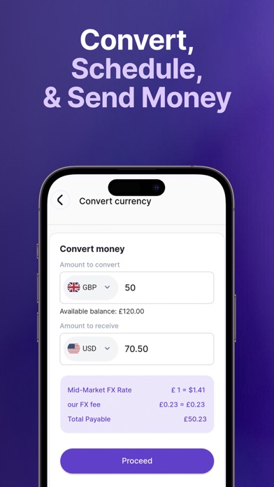 Radiant Money Screenshot