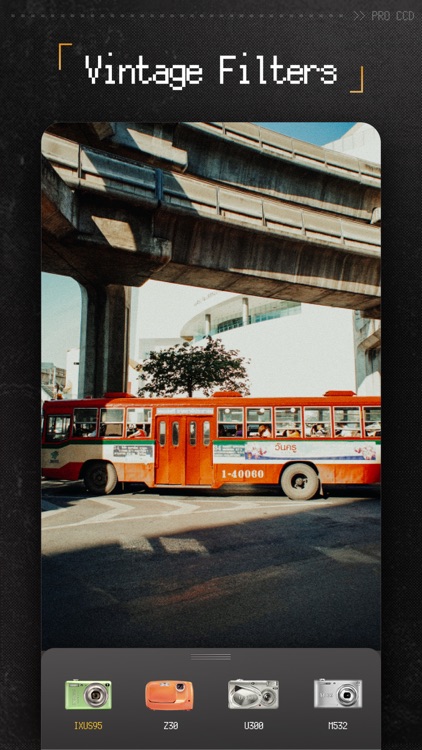 ProCCD - Digital Film Camera screenshot-4