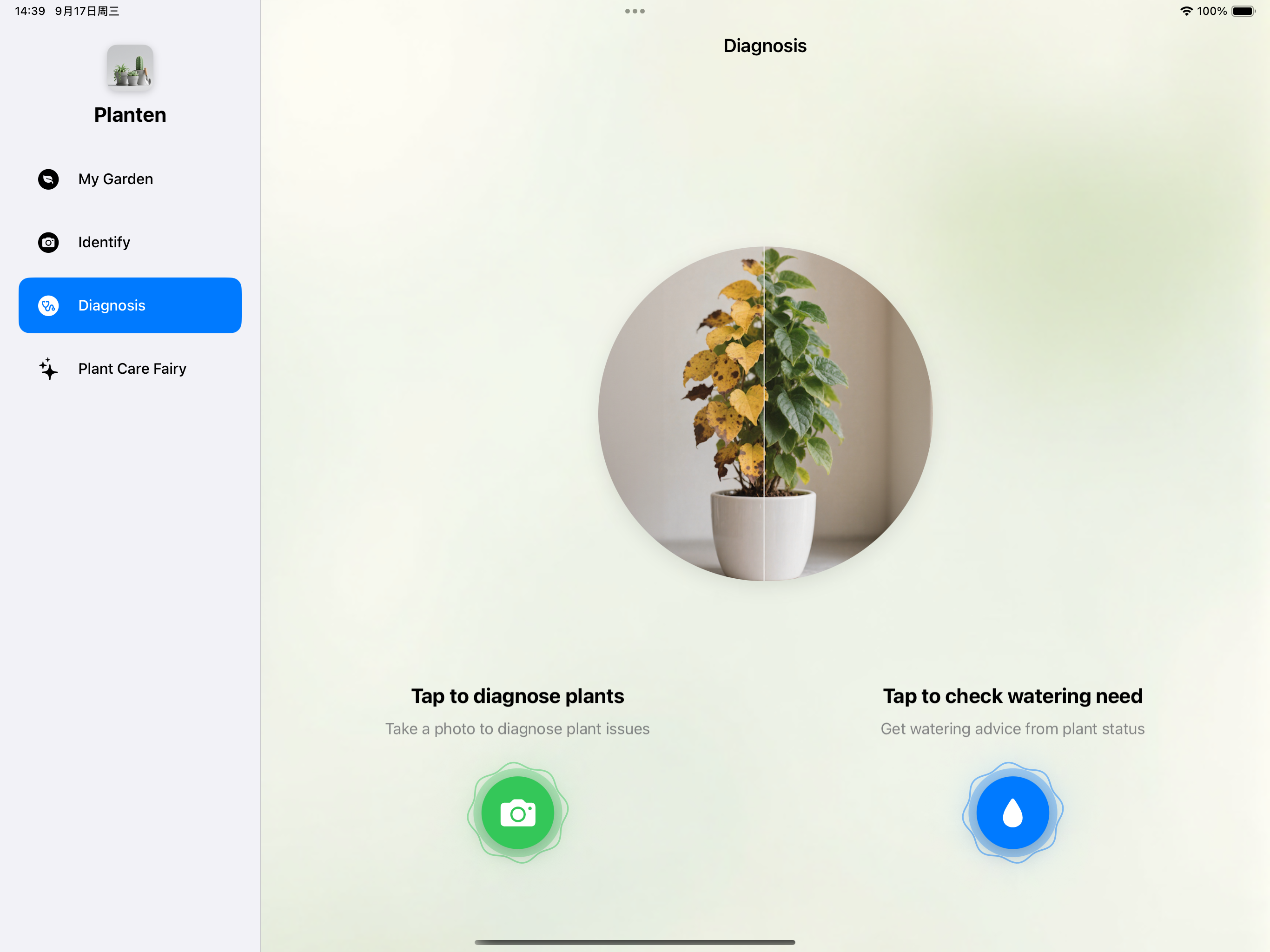Planten - AI Plant Identifier