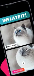 Picart Video: AI Animation screenshot #4 for iPhone