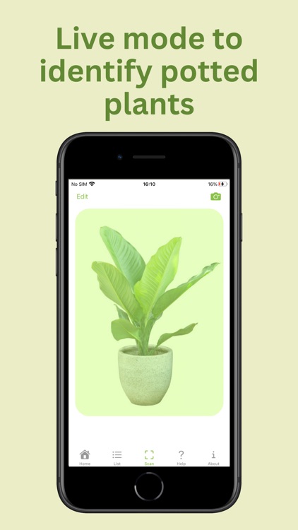 PlantID: Plant Identification