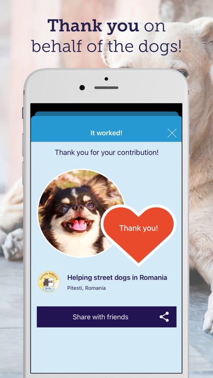 feed a dog: animal welfare screenshot-5