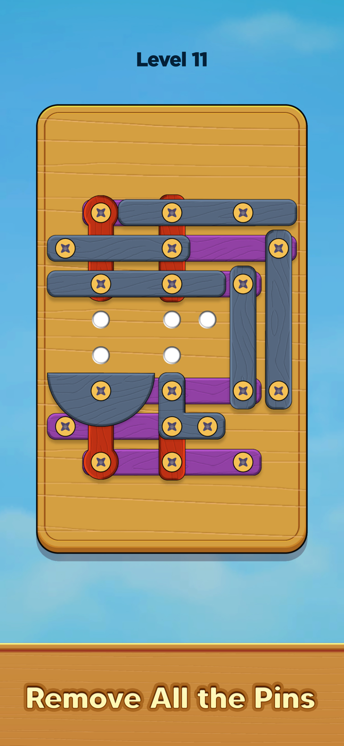 Nuts and Woods Screw Puzzle