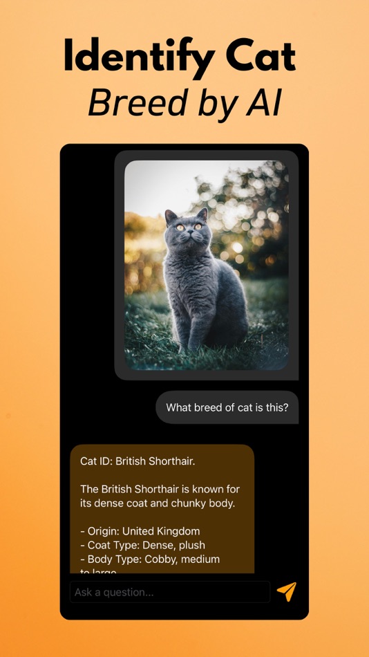 #4. Cat Breed Identifier (iOS) Podle: Arda Sen