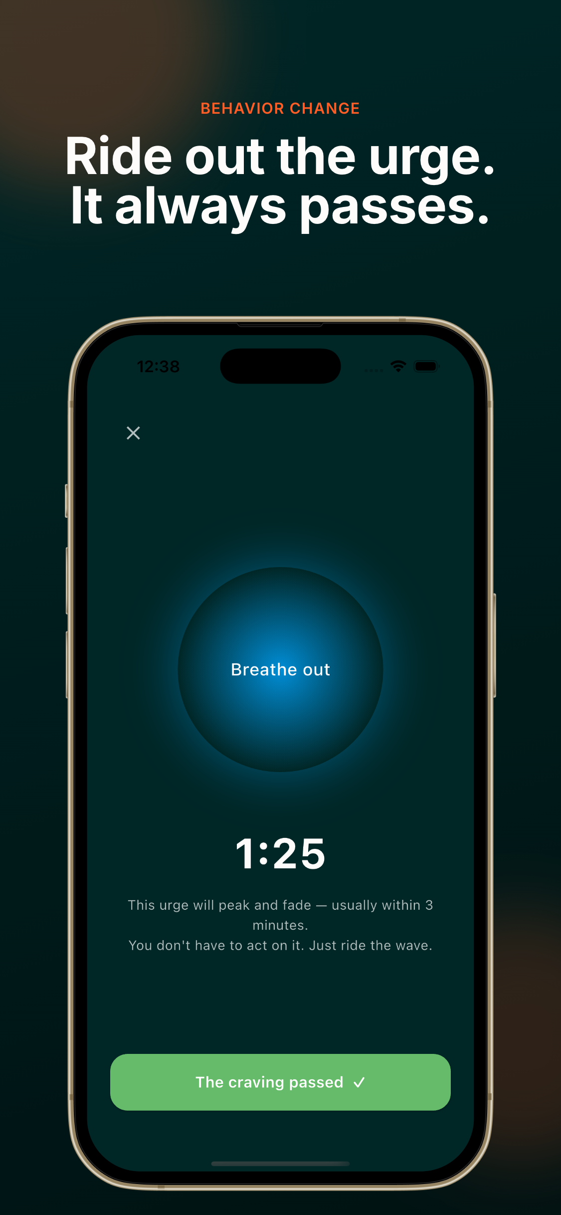Quit Smoking Puff Counter AI