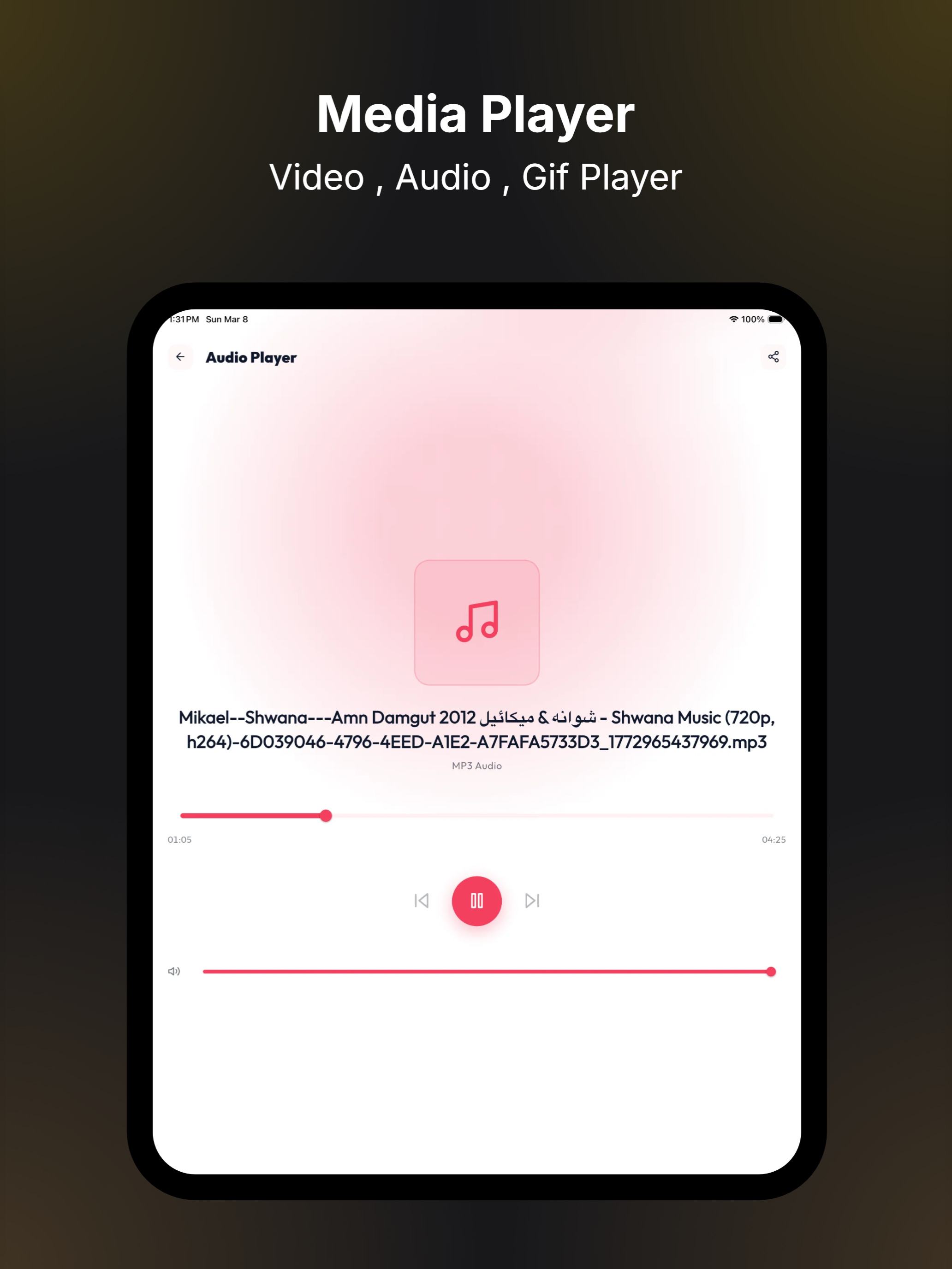 Phase Media: Pro Converter screenshot 12