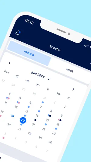 MijnDNZB screenshot 2