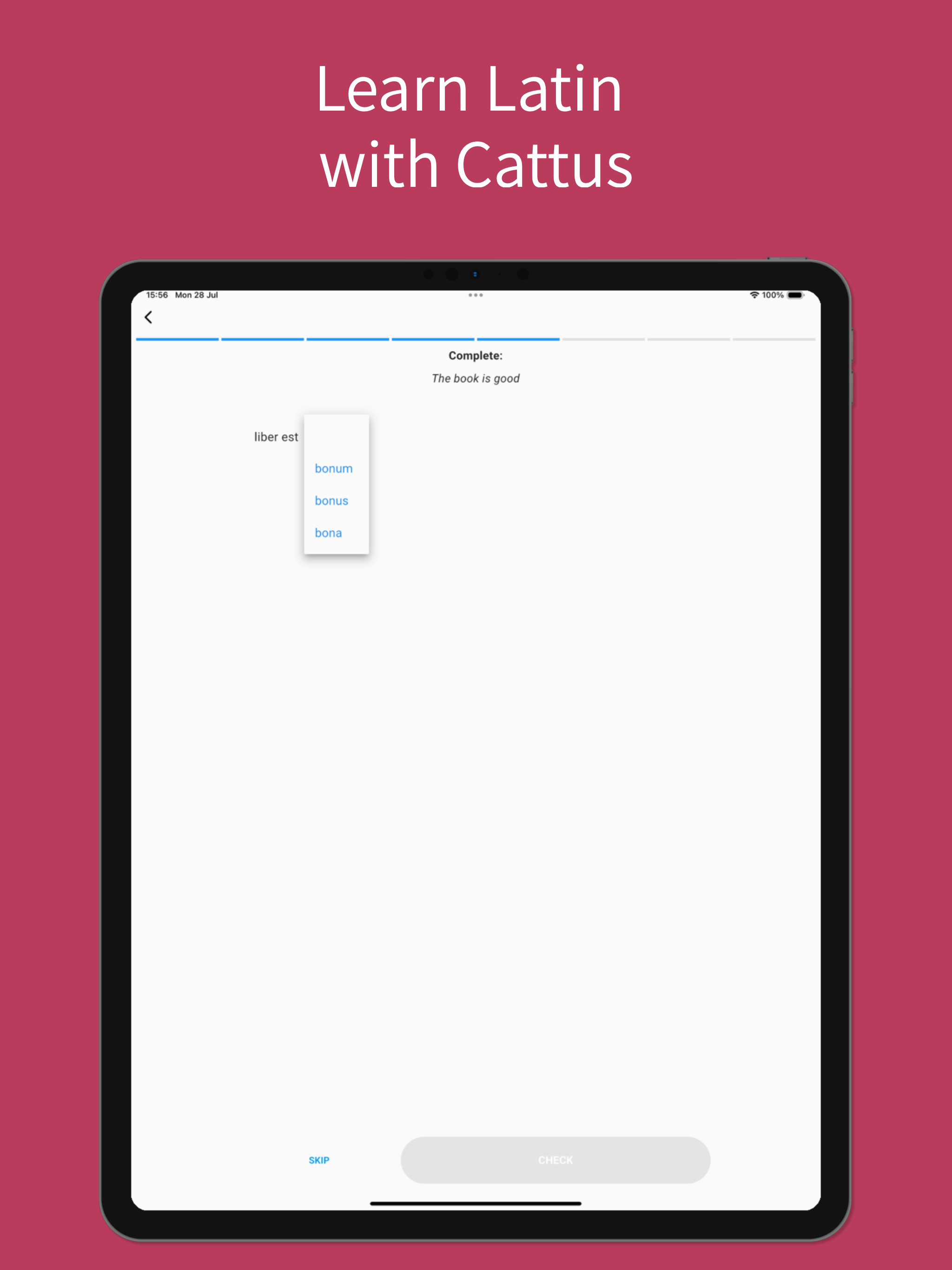 Cattus: Learn Latin