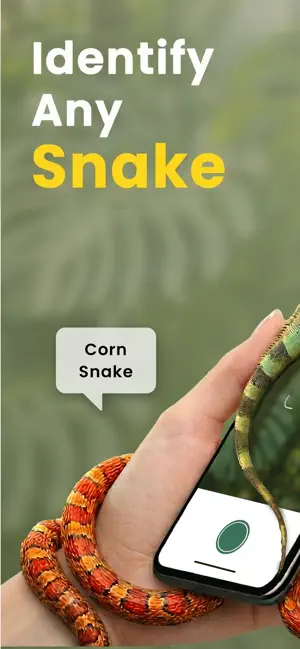 Snake Identifier: Reptile AI screenshot 1