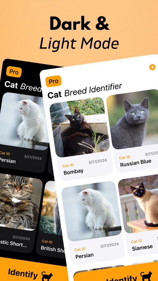 #8. Cat Breed Identifier (iOS) Podle: Arda Sen