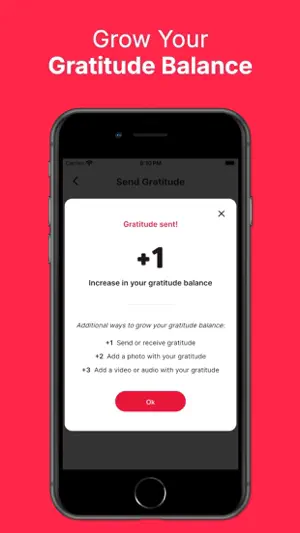 Gratitude Bank screenshot 3