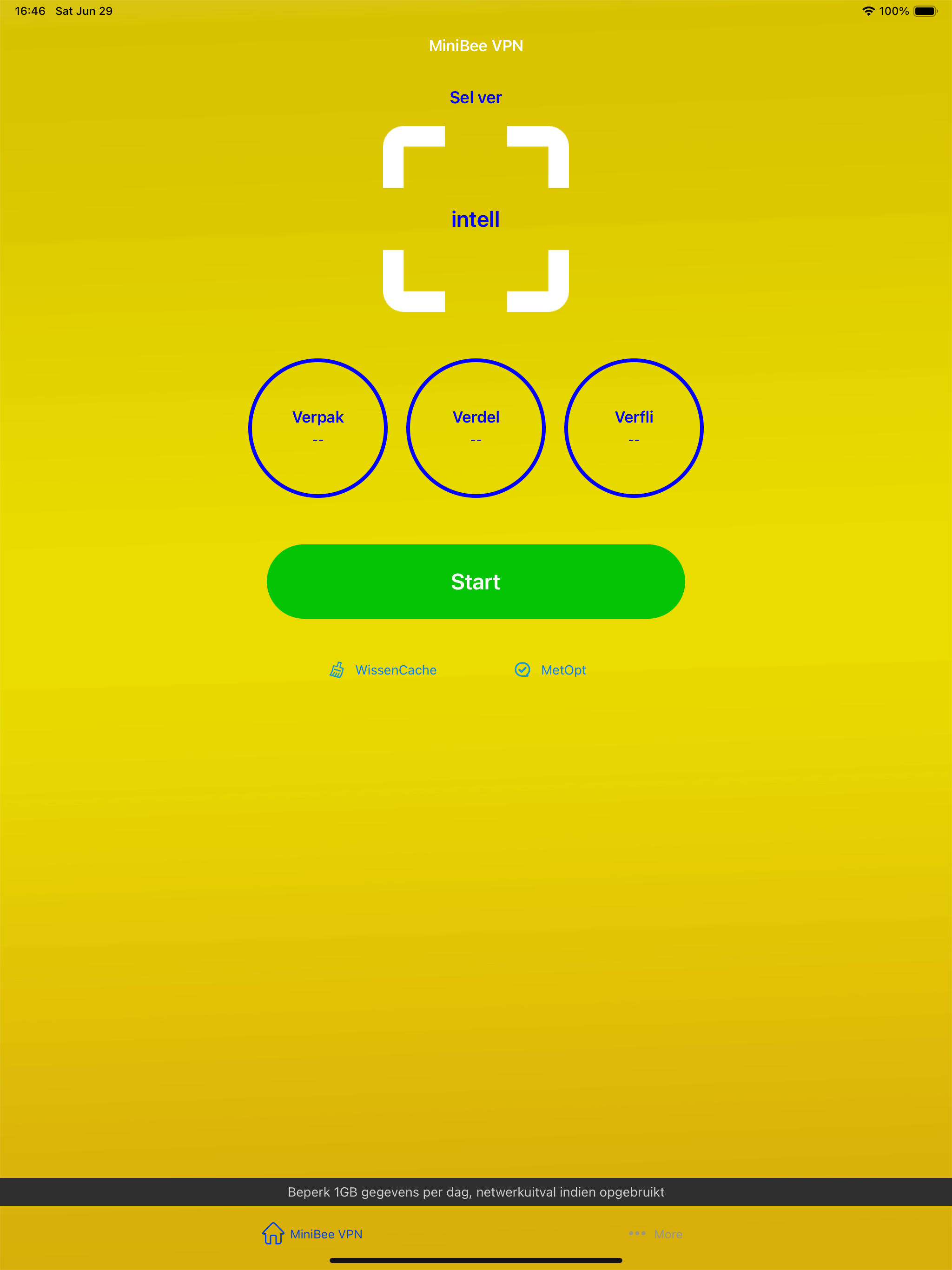 MiniBee VPN