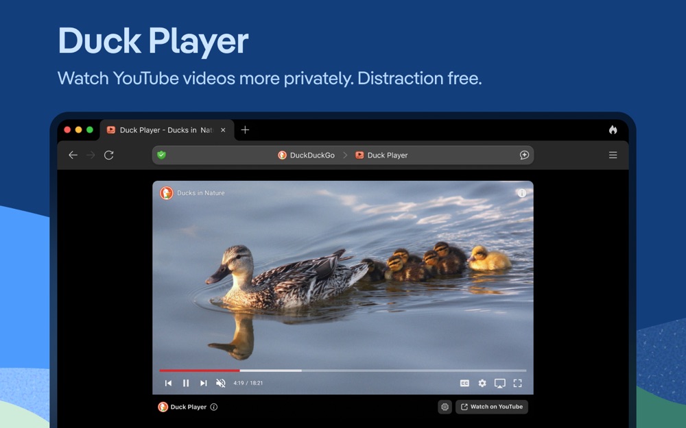 DuckDuckGo, optional Duck.ai: official Mac preview 6 (opens full image in a new tab)