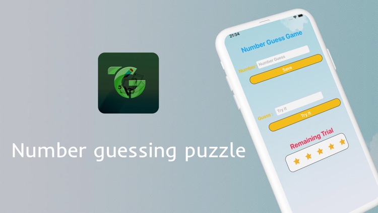 Number guessing puzzle