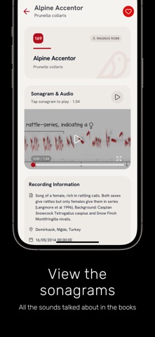 The Sound Approach: Bird Sound screenshot