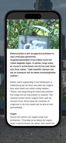 Maastricht Vandaag Screenshot 4 of 7