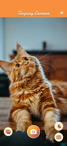 Tinipiny Camera screenshot