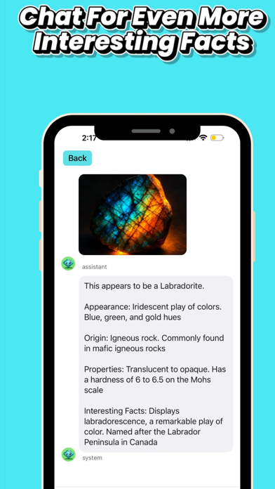 Rock Identifier: Rocksnap Screenshot