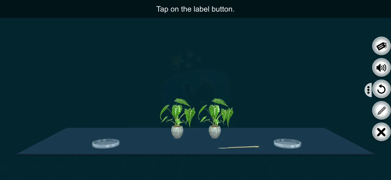 Screenshot #1 pour Leaf Starch Test - EduTech Era