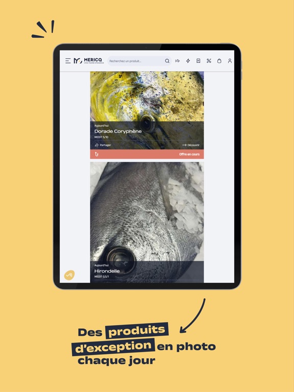 Screenshot #6 pour Mericq