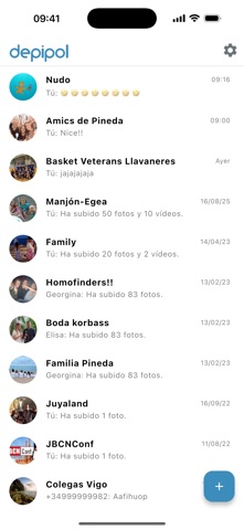 depipol screenshot