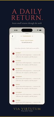Via Virtutum Screenshot 9 of 10