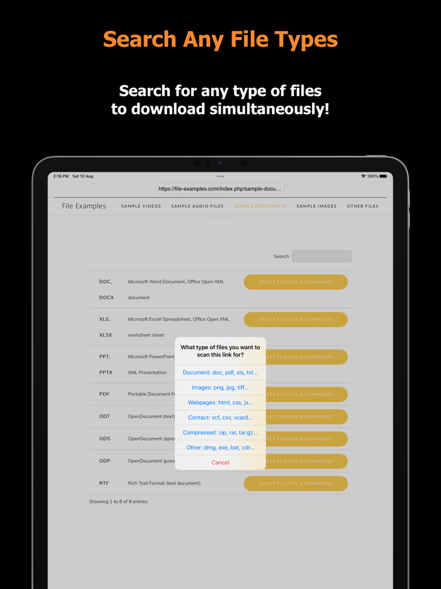 Blaze : Offline Browser Screenshot