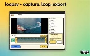 loopsy - capture, loop, export айфон картинки 2