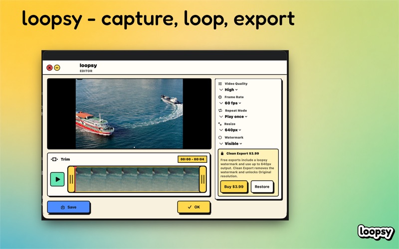 loopsy - capture, loop, export screenshot