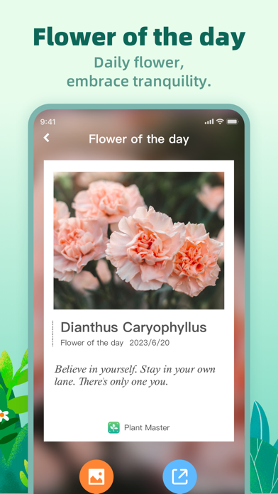 Plant Identifier: Plant Master Screenshot