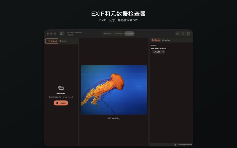 Image Base64 Decoder screenshot