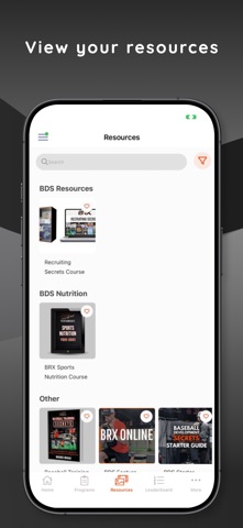 BRX Performance screenshot