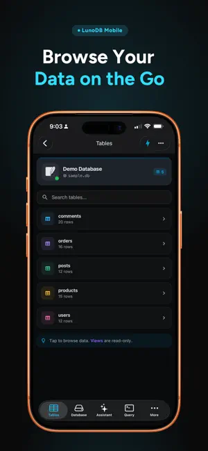 LunoDB screenshot 3