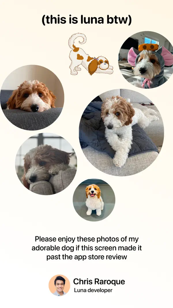 Luna - Budgeting App iPhone App Screenshot 5 – Finanzen