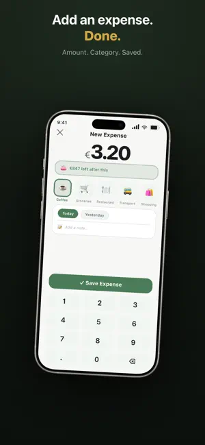Nesti · Budget Planner screenshot 2