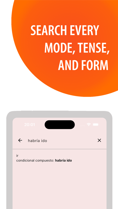Spanish Grammar & Verbs Screenshot