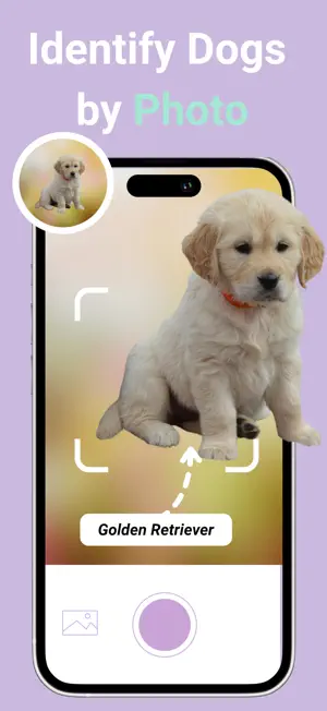 Dog Breed Identifier ID screenshot 3