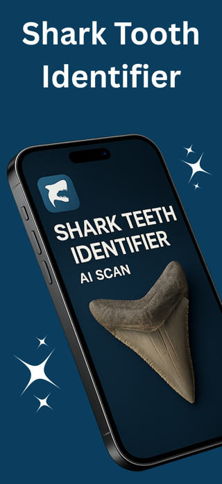 Shark Tooth Identifier: Scan Screenshot 1 of 7