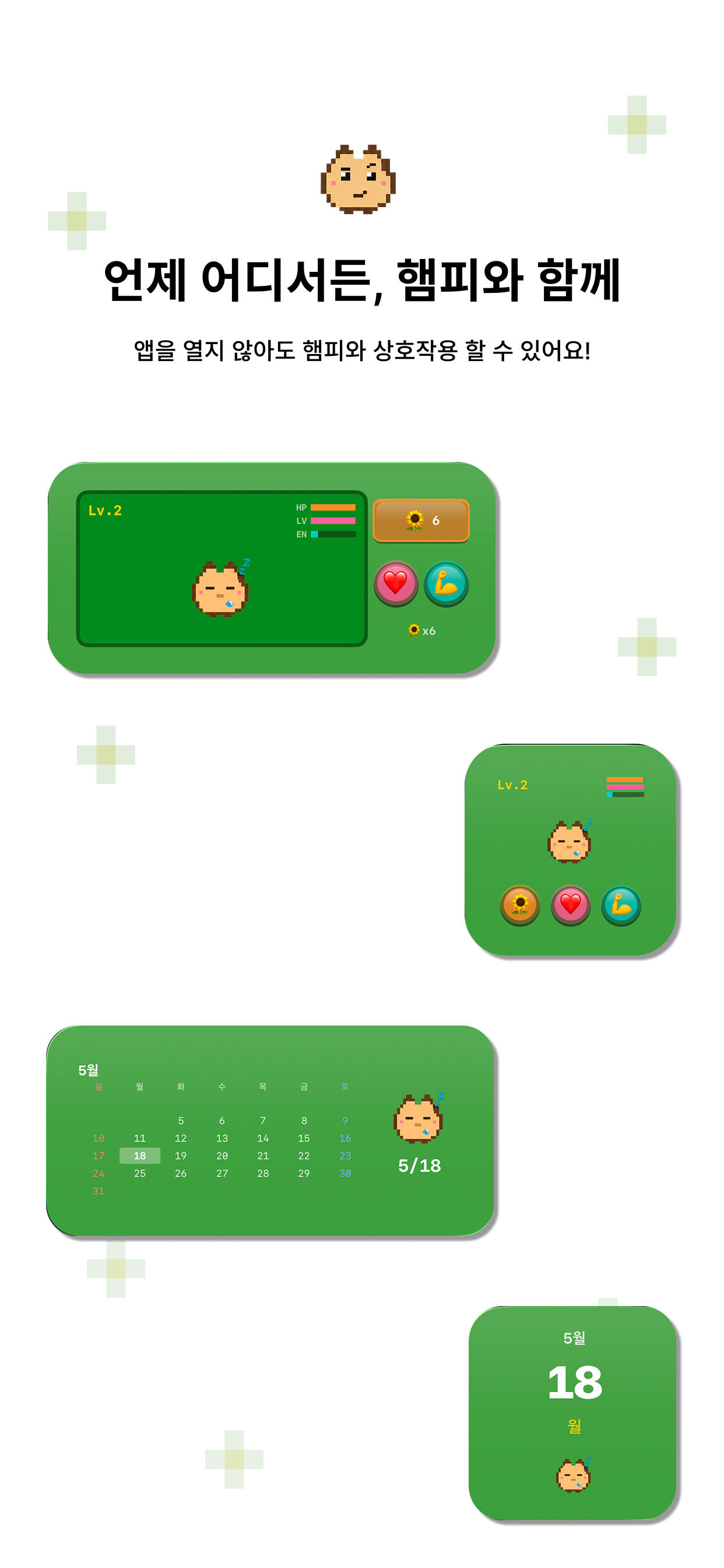 햄피 screenshot 7