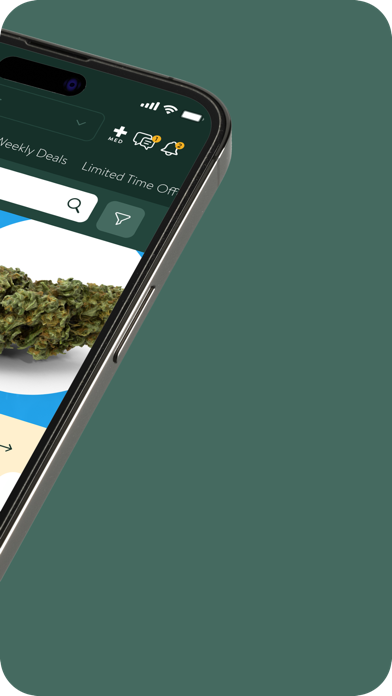 Sol Flower Screenshot 3 - AppWisp.com Sol Flower Screenshot 3 - AppWisp.com