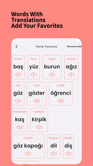 Learn Turkish: For Beginners Screenshot