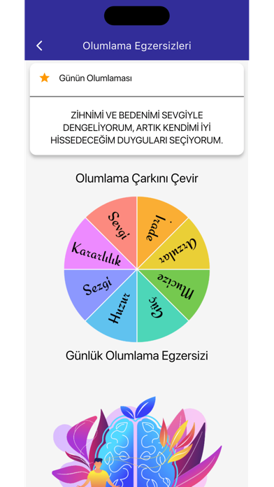 Numerology: Sayilarin Dili Screenshot